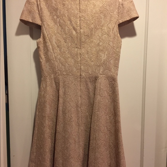 4C Collective nude/champagne Fit and flare dress - Picture 3 of 4